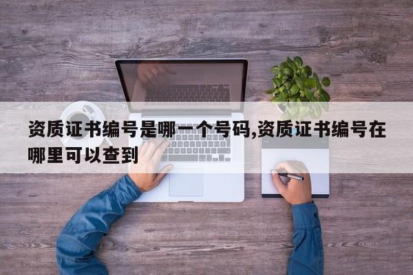 资质证书编号是哪一个号码,资质证书编号在哪里可以查到